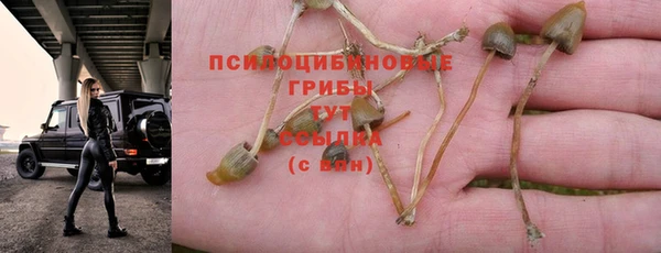 MDMA Алексеевка